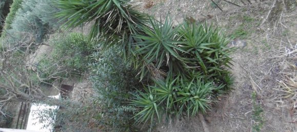 5-Zimmer Haus in Montegranaro, Italy, Nr. 173450 16