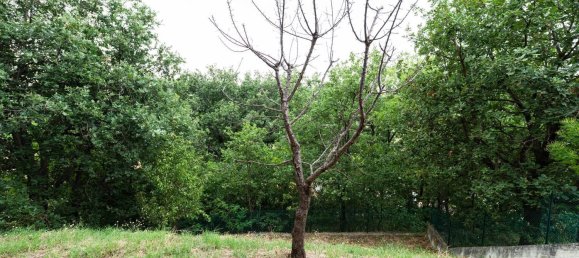 Apartamento de 3 dormitorios en Colli al Metauro, Italy No. 340446 27