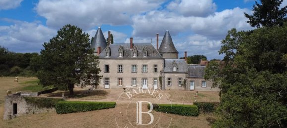 7 bedrooms Castles in Le Dorat, France No. 297943 4