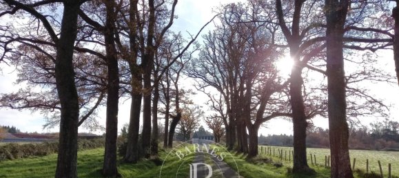 7 bedrooms Castles in Le Dorat, France No. 297943 19