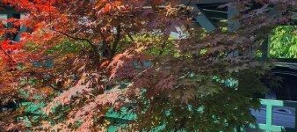 Дом с 4 комнатами в Нойдёрфль, Австрия № 136774 4