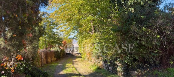 40 rooms Apartment in Pienza, Italy No. 78535 8