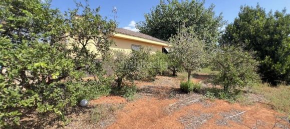 4 غرف نوم منزل في Alzira, Spain رقم 168493 48