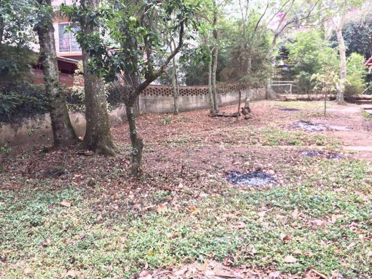 Terrain à Veracruz, Mexico No. 204271