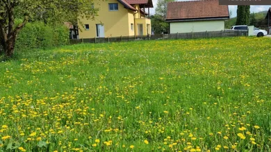  Land in Wienerwald, Austria No. 163942