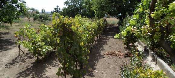 Casa T8 em Palencia, Spain N.º 76203 2