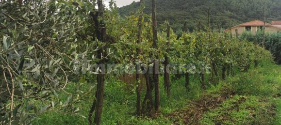 Дом с 5 спальнями в Каяццо, Италия № 120122 15