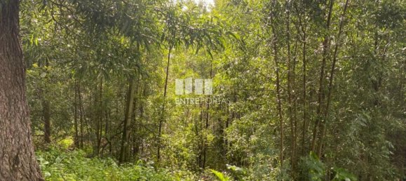 580m² Land in Marco de Canaveses, Portugal No. 56130 9