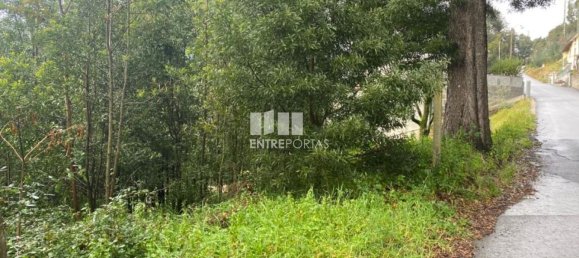 580m² Land in Marco de Canaveses, Portugal No. 56130 18