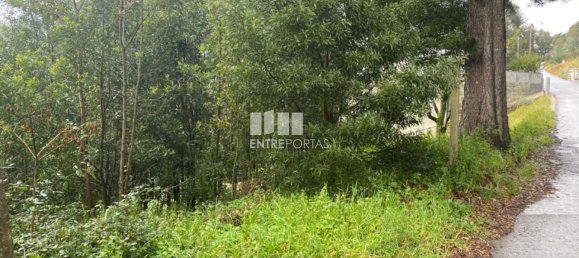 580m² Land in Marco de Canaveses, Portugal No. 56130 23