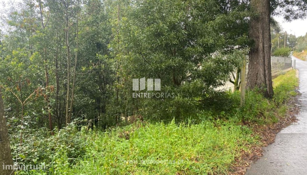 580m² Land in Marco de Canaveses, Portugal No. 56130