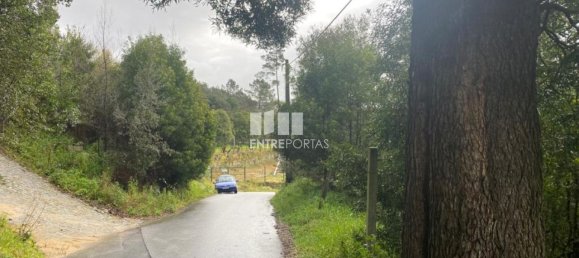 580m² Land in Marco de Canaveses, Portugal No. 56130 6