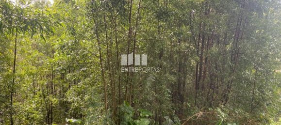 580m² Land in Marco de Canaveses, Portugal No. 56130 10