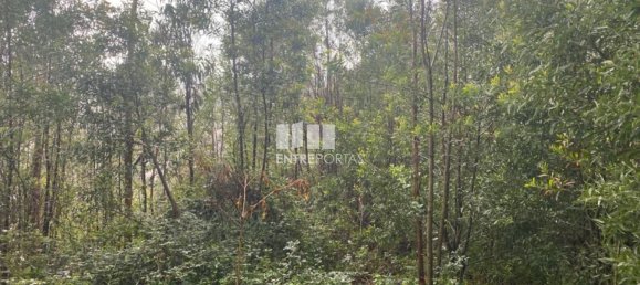 580m² Land in Marco de Canaveses, Portugal No. 56130 22