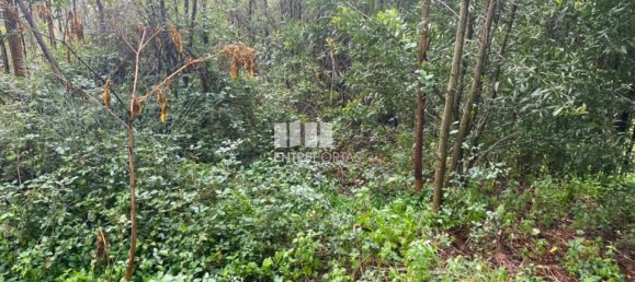 580m² Land in Marco de Canaveses, Portugal No. 56130 13