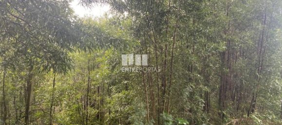 580m² Land in Marco de Canaveses, Portugal No. 56130 27