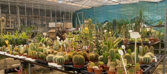 22720m² Land in Lagoa, Portugal No. 61350 11