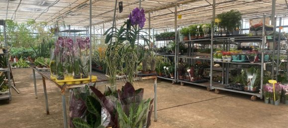 22720m² Land in Lagoa, Portugal No. 61350 22