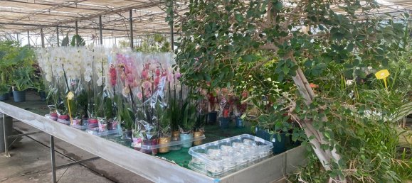 22720m² Land in Lagoa, Portugal No. 61350 32