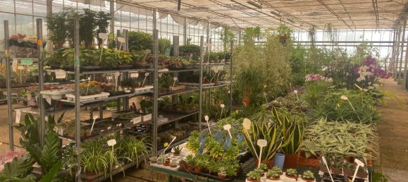 22720m² Land in Lagoa, Portugal No. 61350 38