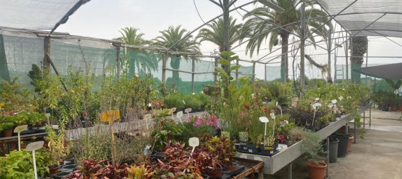 22720m² Land in Lagoa, Portugal No. 61350 29