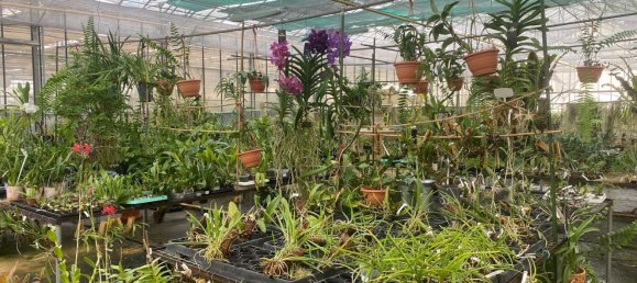 22720m² Land in Lagoa, Portugal No. 61350 15