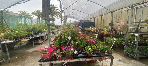 22720m² Land in Lagoa, Portugal No. 61350 31