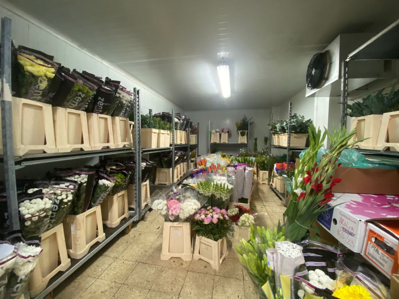 22720m² Land in Lagoa, Portugal No. 61350