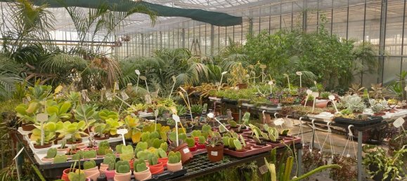 22720m² Land in Lagoa, Portugal No. 61350 19