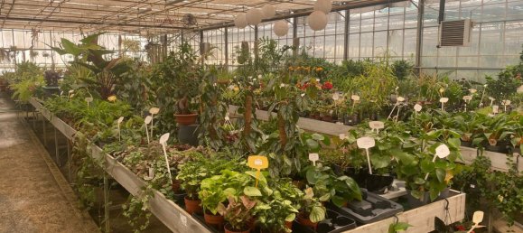 22720m² Land in Lagoa, Portugal No. 61350 37