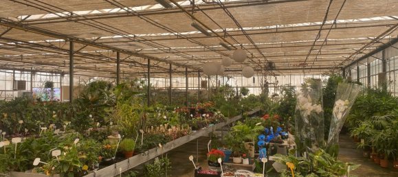 22720m² Land in Lagoa, Portugal No. 61350 39