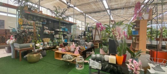 22720m² Land in Lagoa, Portugal No. 61350 7