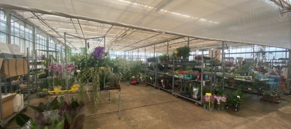 22720m² Land in Lagoa, Portugal No. 61350 23