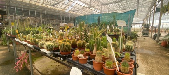 22720m² Land in Lagoa, Portugal No. 61350 14