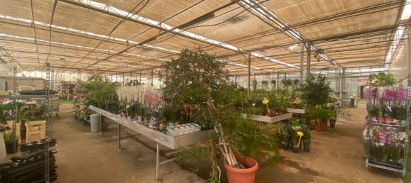 22720m² Land in Lagoa, Portugal No. 61350 27