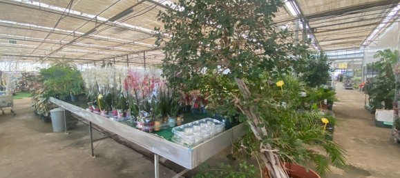 22720m² Land in Lagoa, Portugal No. 61350 33