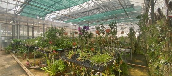 22720m² Land in Lagoa, Portugal No. 61350 16