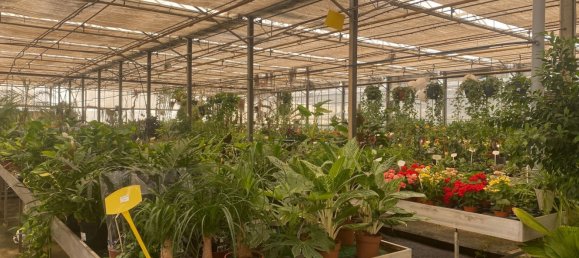 22720m² Land in Lagoa, Portugal No. 61350 36