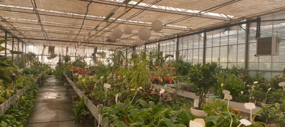 22720m² Land in Lagoa, Portugal No. 61350 24