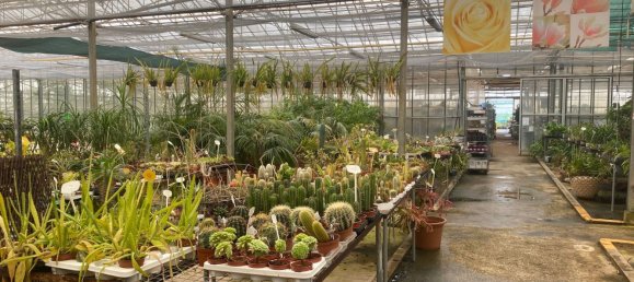 22720m² Land in Lagoa, Portugal No. 61350 13