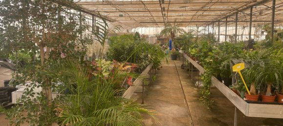 22720m² Land in Lagoa, Portugal No. 61350 35