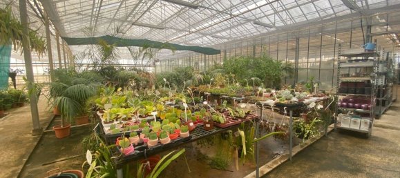 22720m² Land in Lagoa, Portugal No. 61350 18