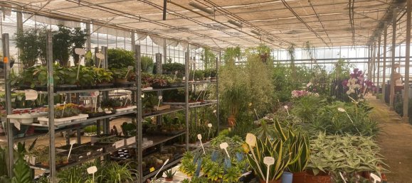 22720m² Land in Lagoa, Portugal No. 61350 25