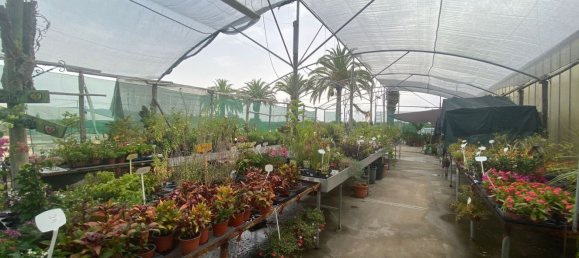 22720m² Land in Lagoa, Portugal No. 61350 28