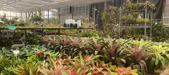 22720m² Land in Lagoa, Portugal No. 61350 10