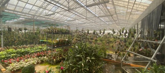 22720m² Land in Lagoa, Portugal No. 61350 12