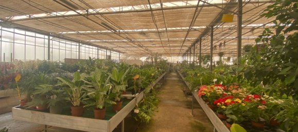 22720m² Land in Lagoa, Portugal No. 61350 26