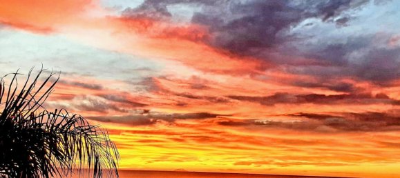 3 Schlafzimmer Villa in Bastia, France, Nr. 41133 9