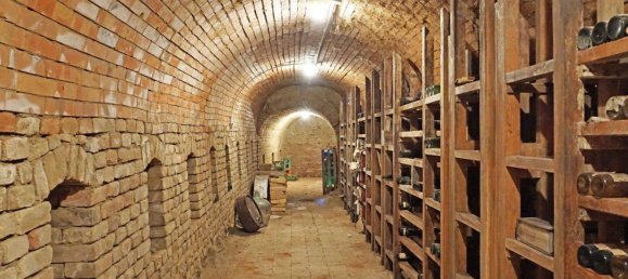 6 rooms Warehouse in Grossweikersdorf, Austria No. 43480 22