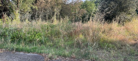  Land in Girona, Spain No. 161274 3